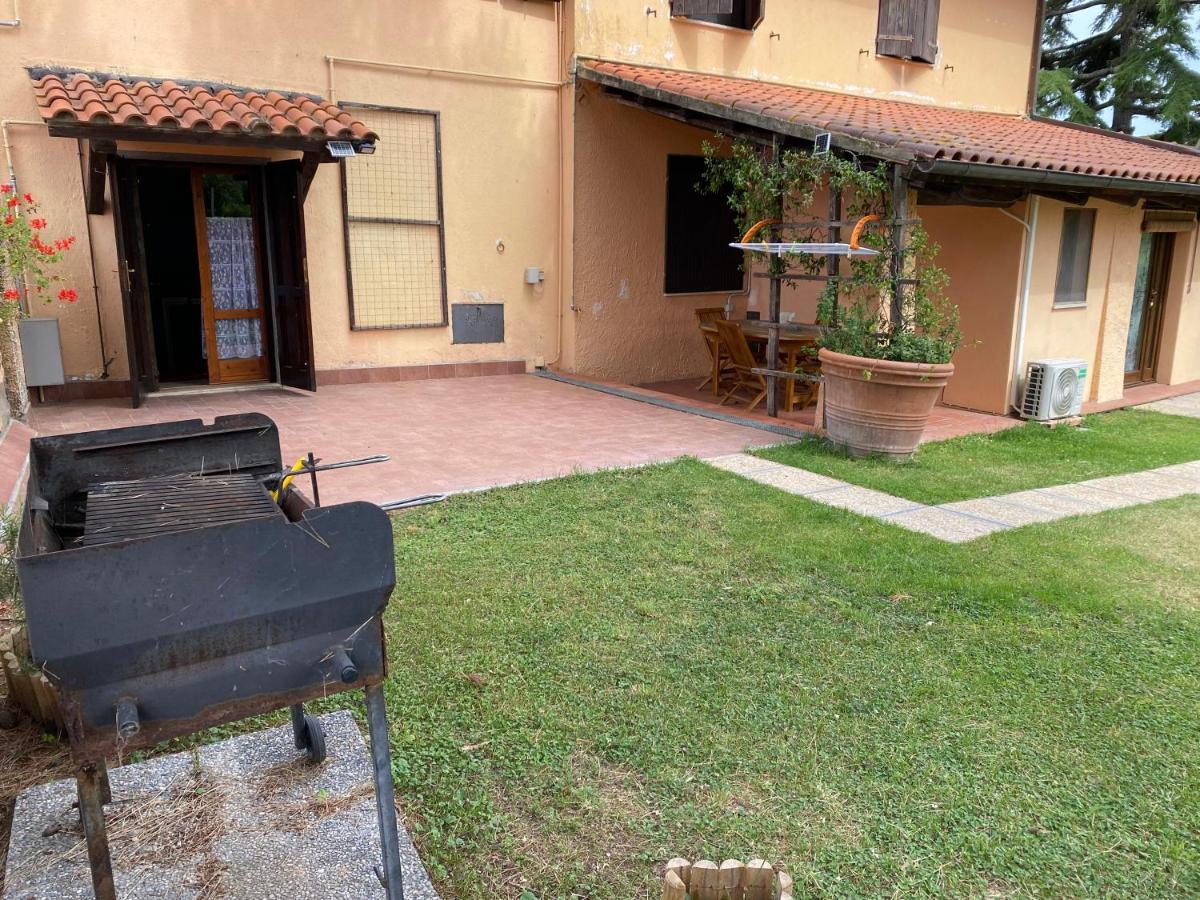Agriturismo Terranera Скансано Екстер'єр фото