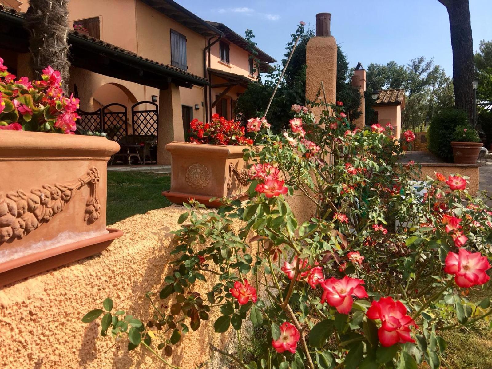 Agriturismo Terranera Скансано Екстер'єр фото