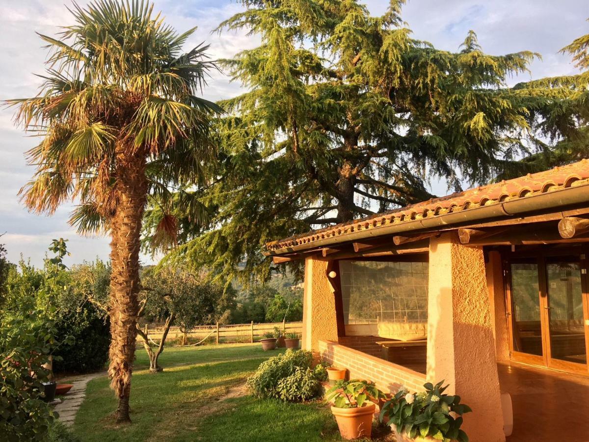Agriturismo Terranera Скансано Екстер'єр фото