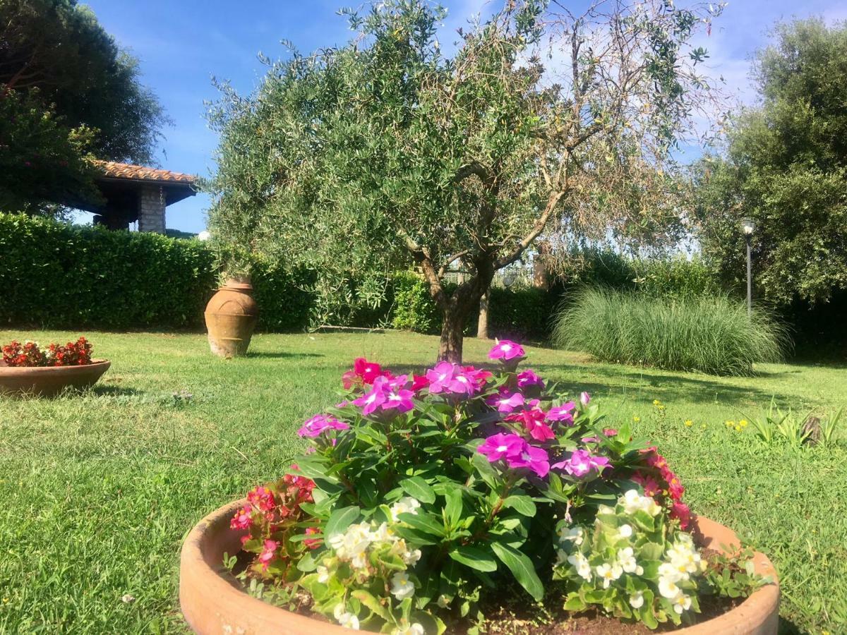Agriturismo Terranera Скансано Екстер'єр фото